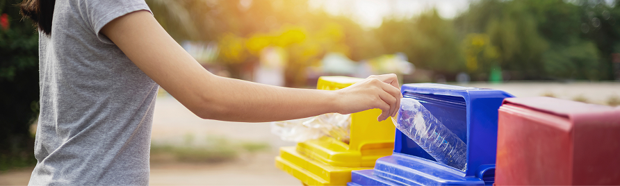 Sustentabilidade Ambiental